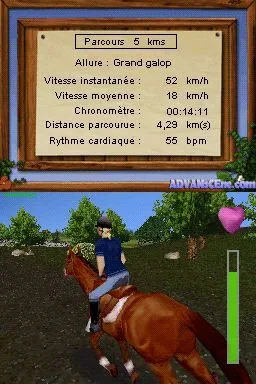 Snapshot